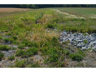Property photo 3 - 108 +/- Acres Offered in 2 Tracts - Land Auction